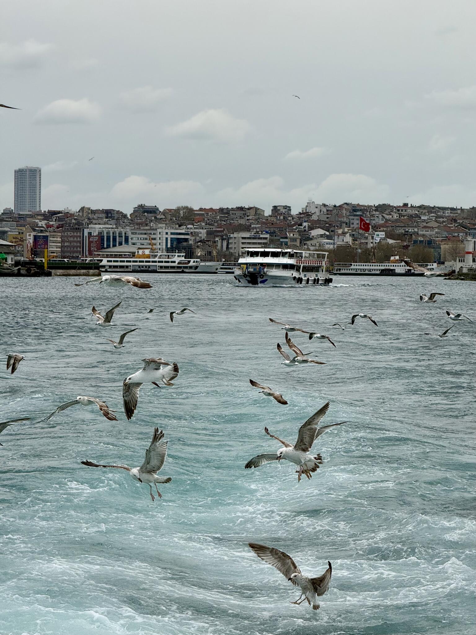 Ferries & Ponts